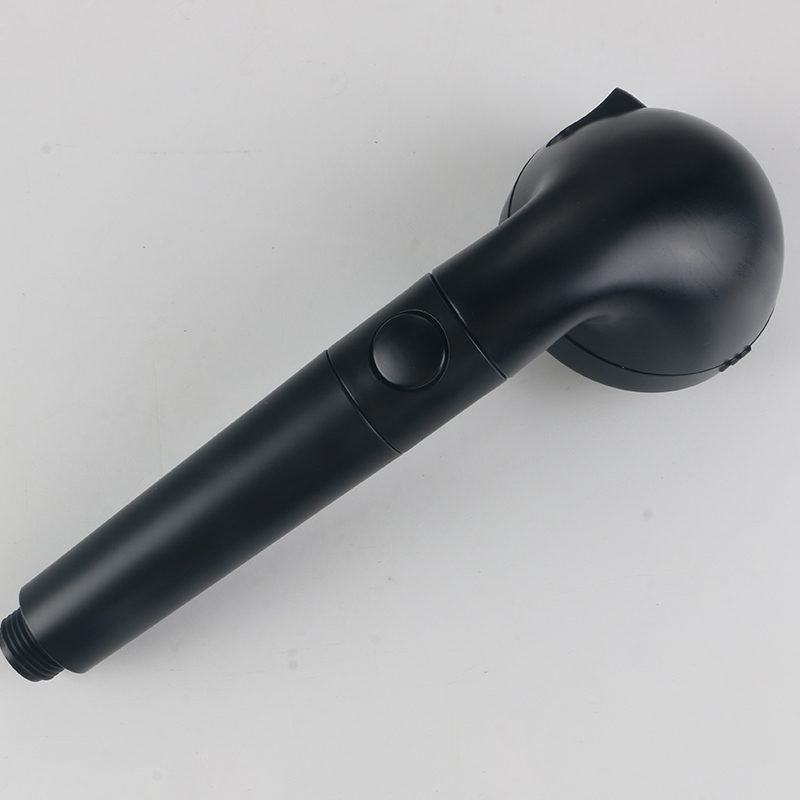 Iaponica nigrum imber