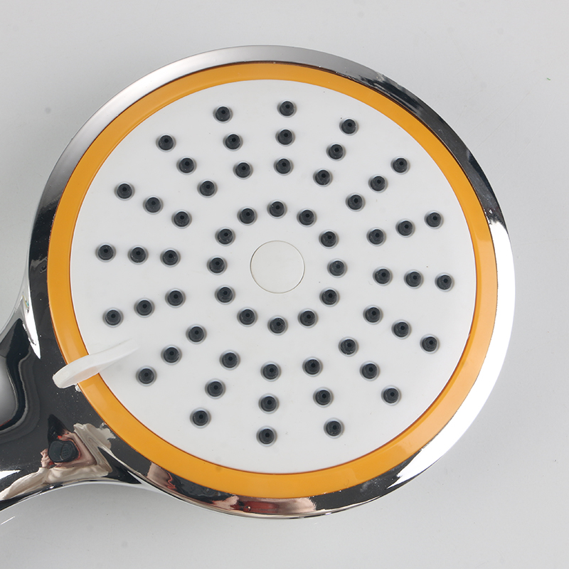 Aliquam annulum shrower